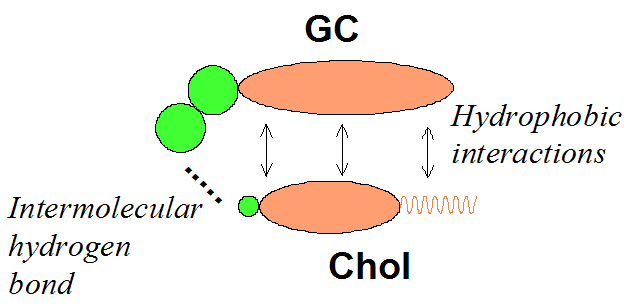 Graphical Abstract