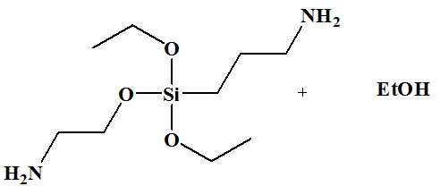 Graphical Abstract